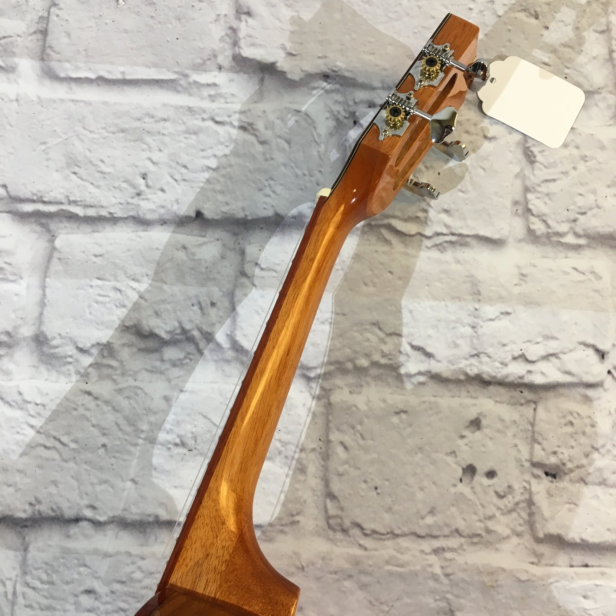 Kala KA-ACP-CTG Ukulele