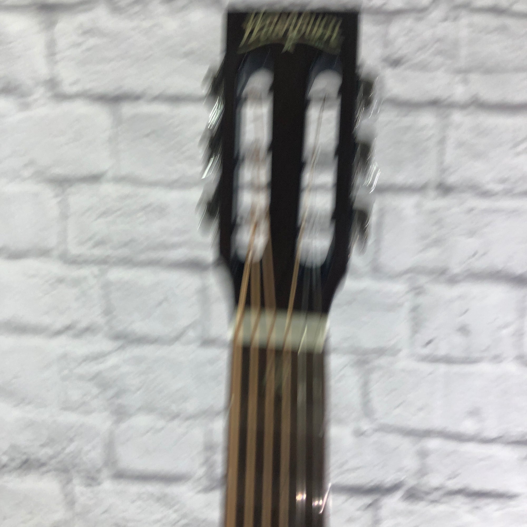 Washburn WP33SRS Parlor Sized Acoustic Guitar