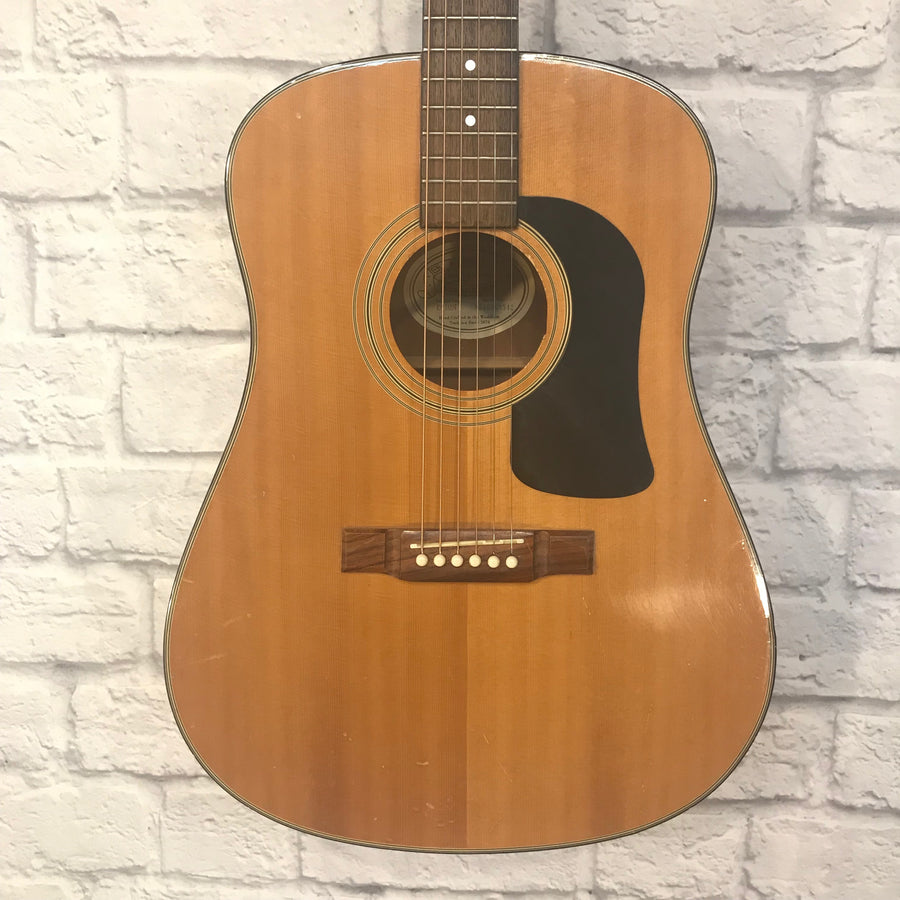 Washburn D10 Natural with Pickup