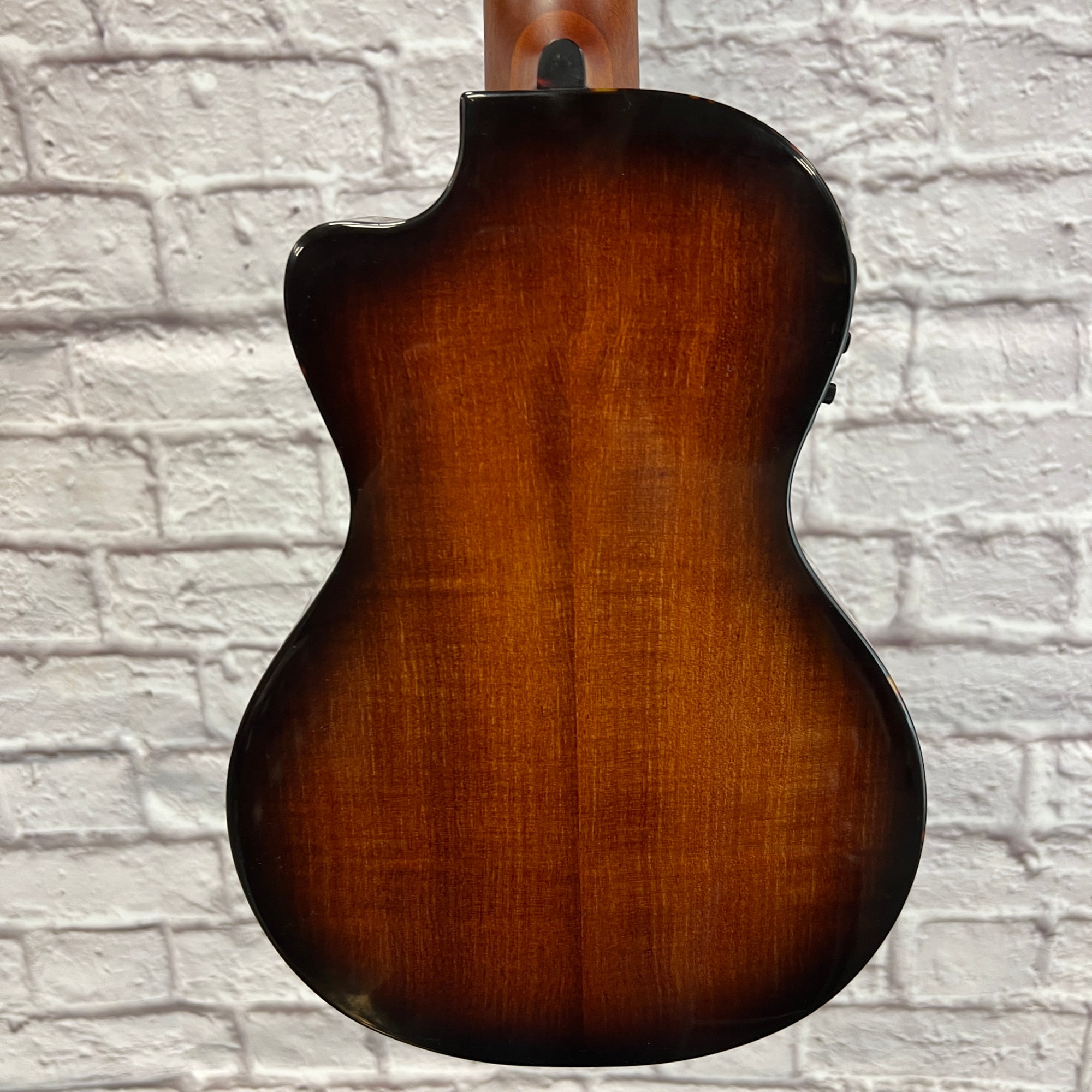 Breedlove Pursuit Ex CU CE BO Ukuleles