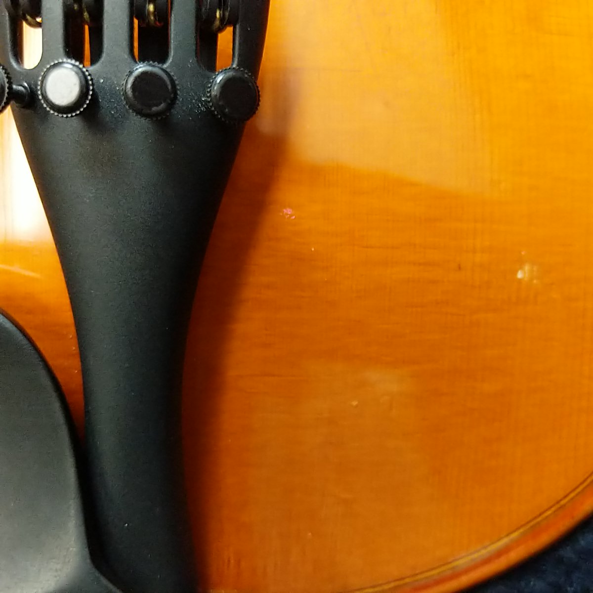 Eastman 13'' Viola Outfit