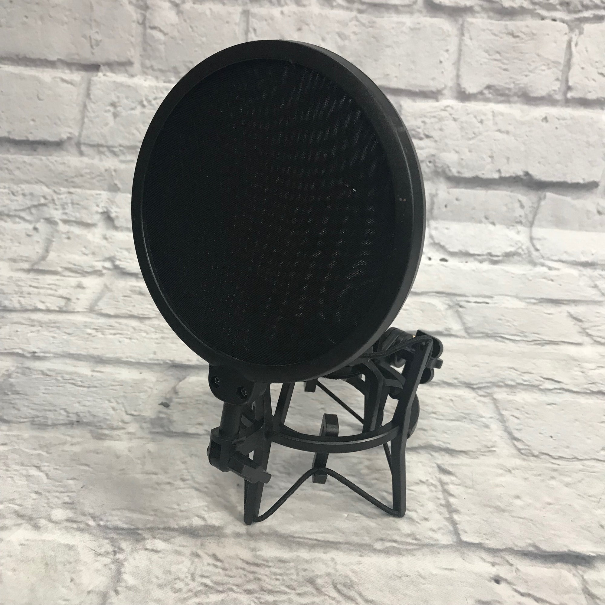 AKG P120 Condenser Microphone with Case & Mount