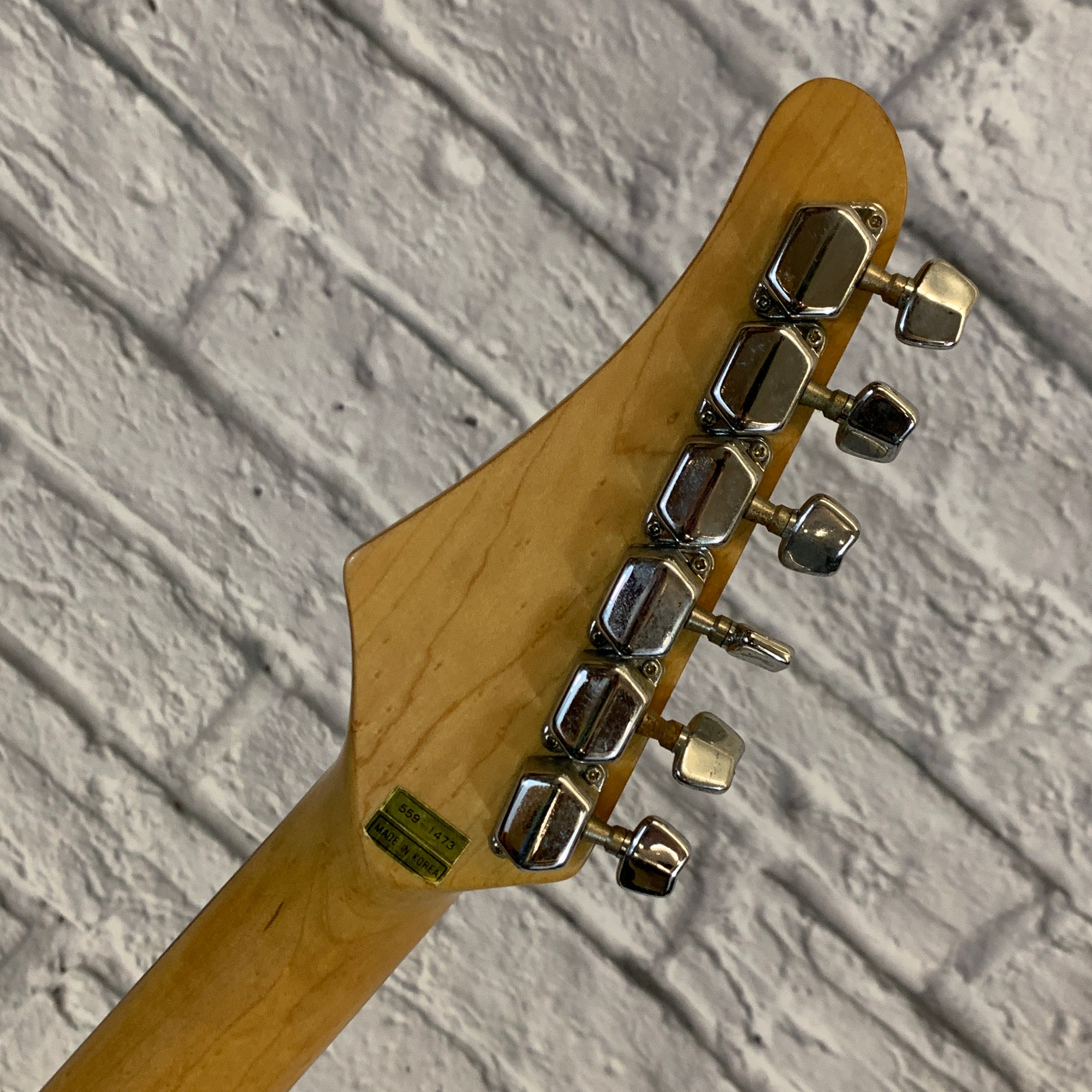 Guitar Systems FX-2 Project Guitar