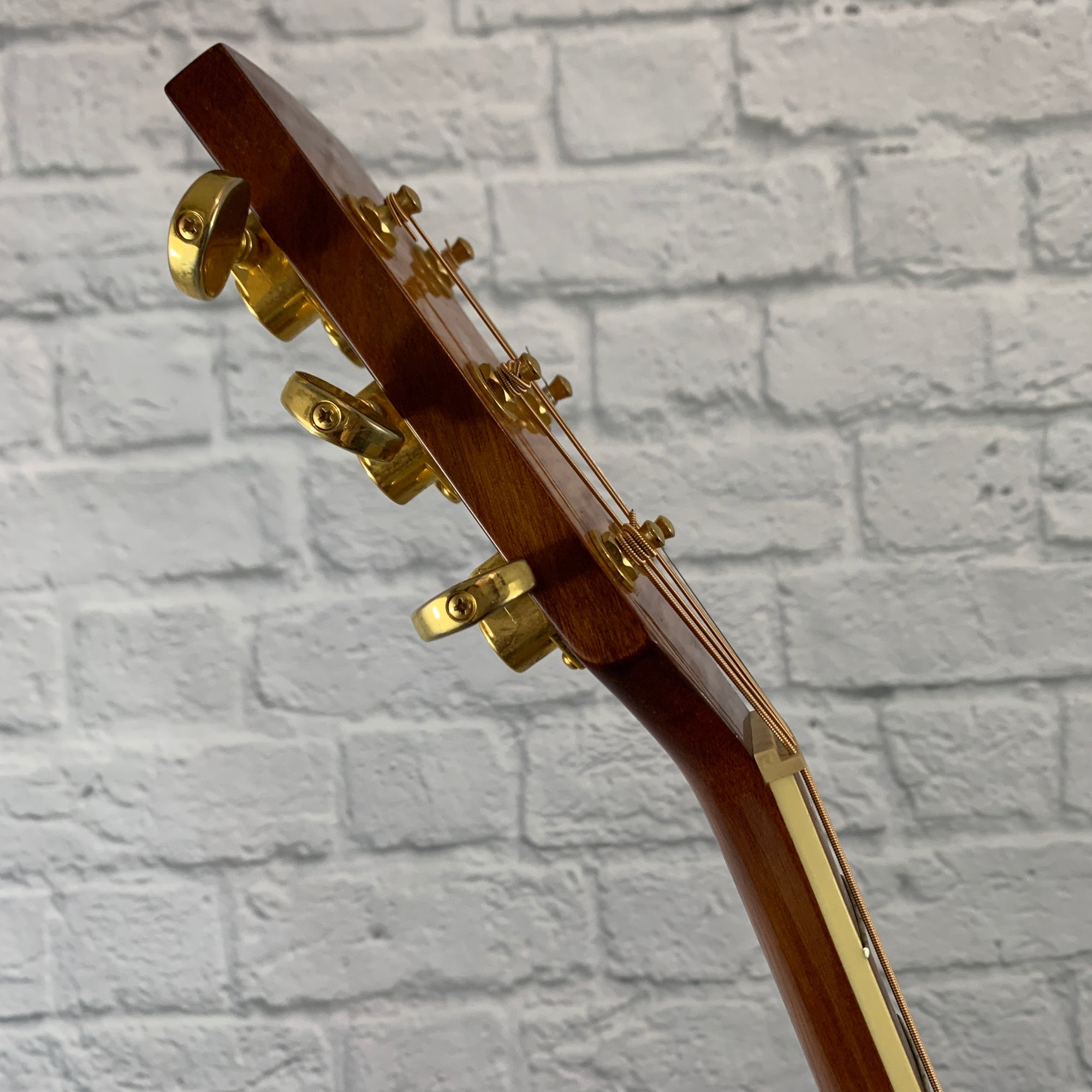 Ibanez Artwood AW200 Acoustic Guitar - Evolution Music