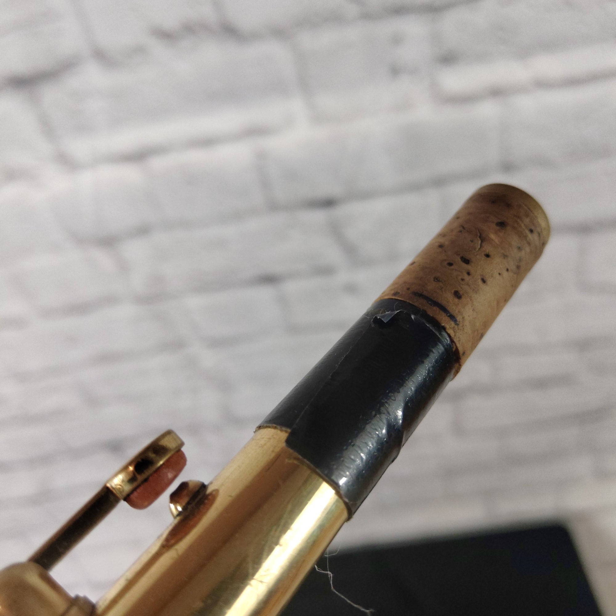Roy Benson AS 101 Alto Saxophone - 03DF24222