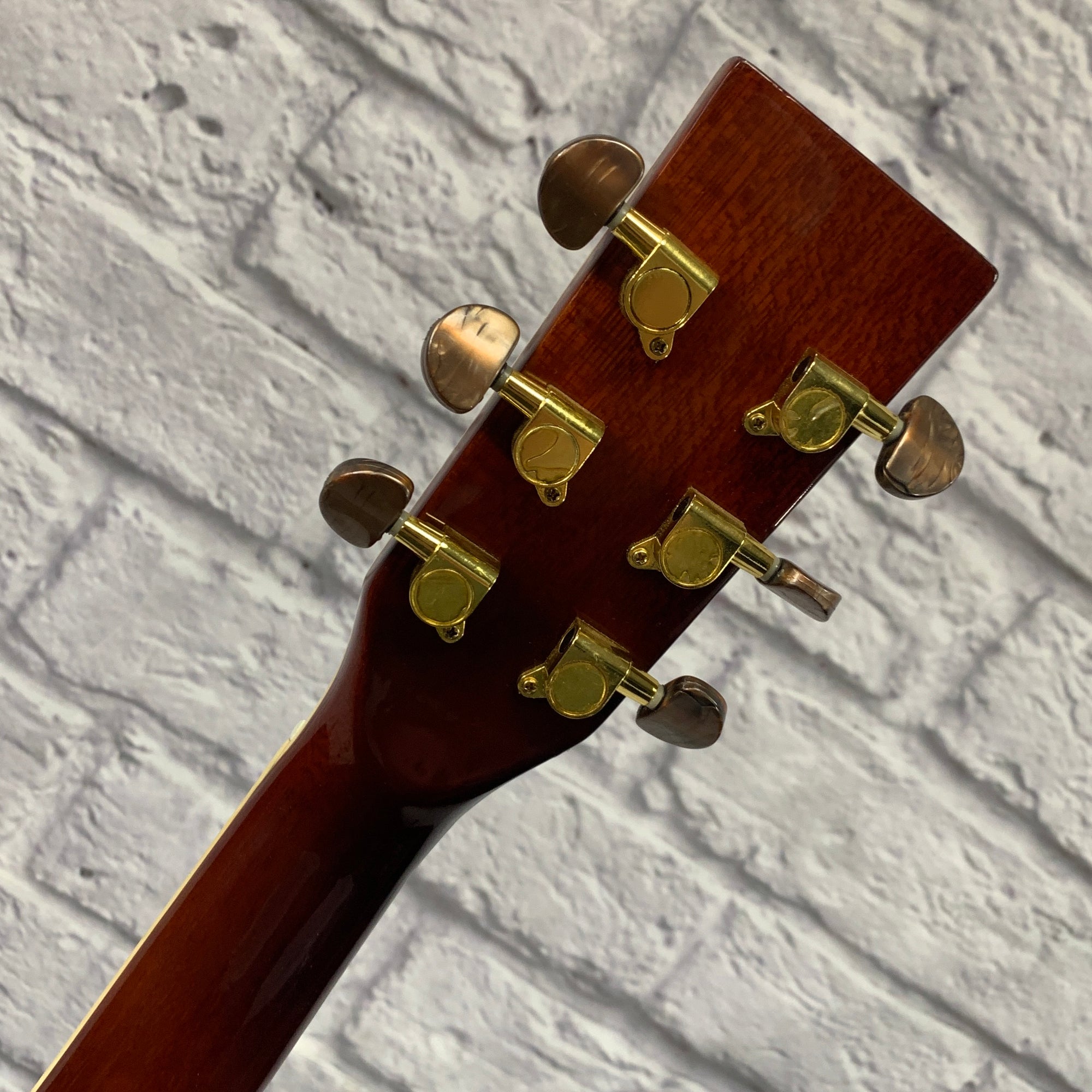 Ventura V4NAT Acoustic Guitar Natural