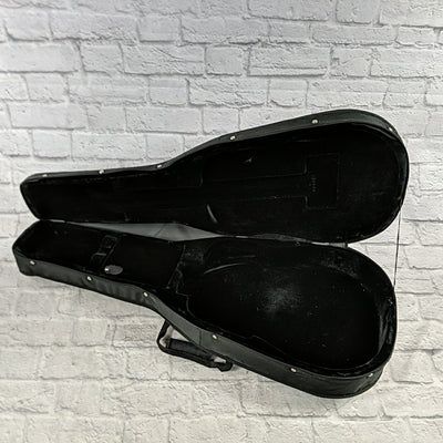 Unknown Foam Case  Acoustic Guitar