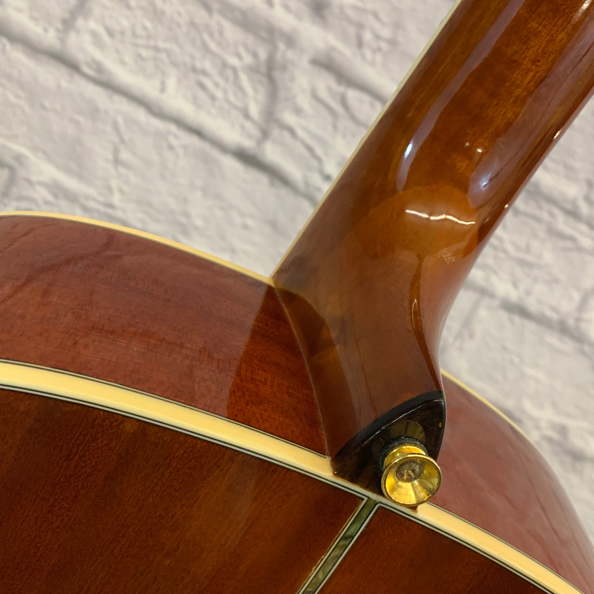 Ventura V6NAT Acoustic Guitar Natural