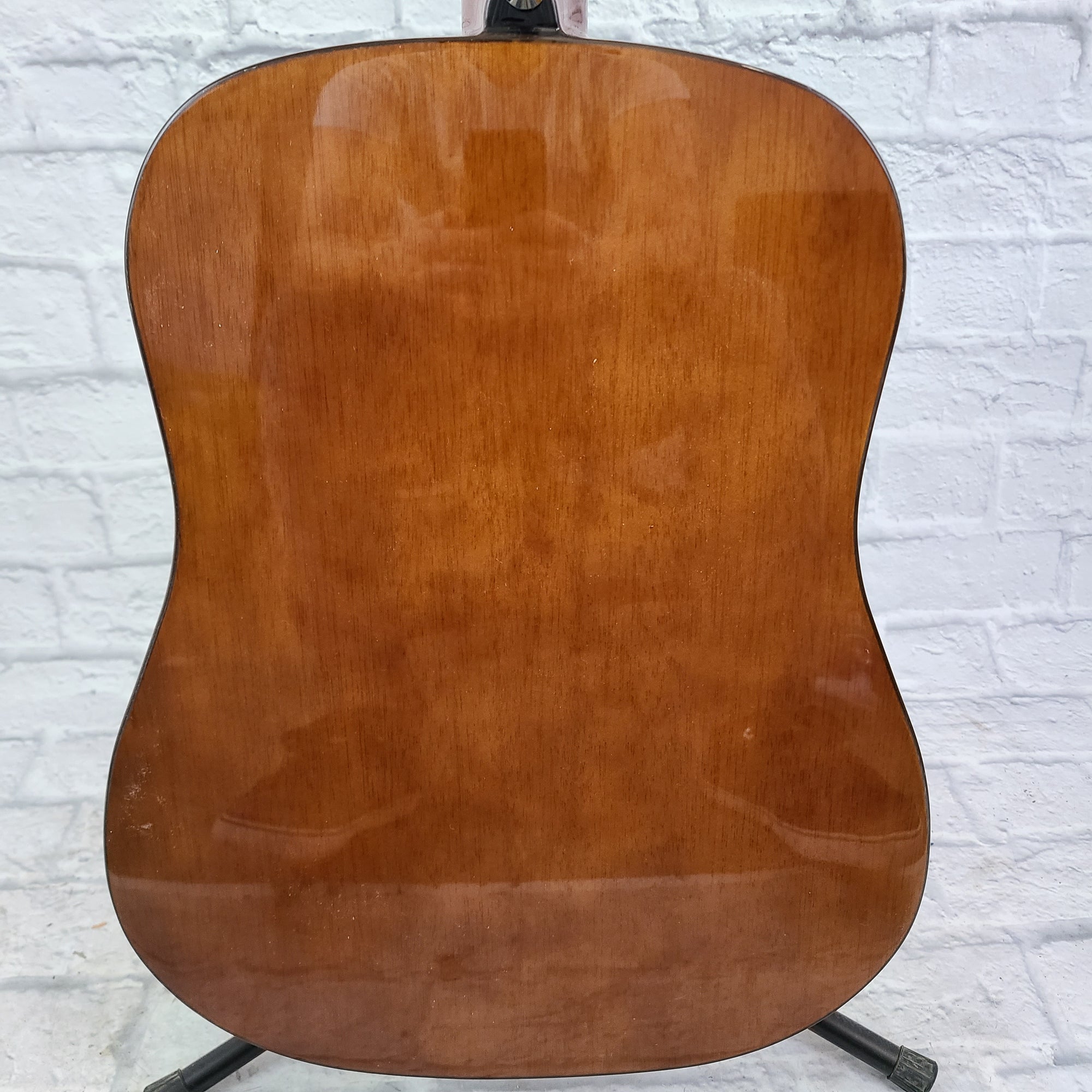 Ibanez IJV50 Acoustic Guitar