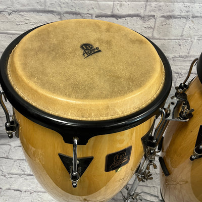 LP Aspire Congas