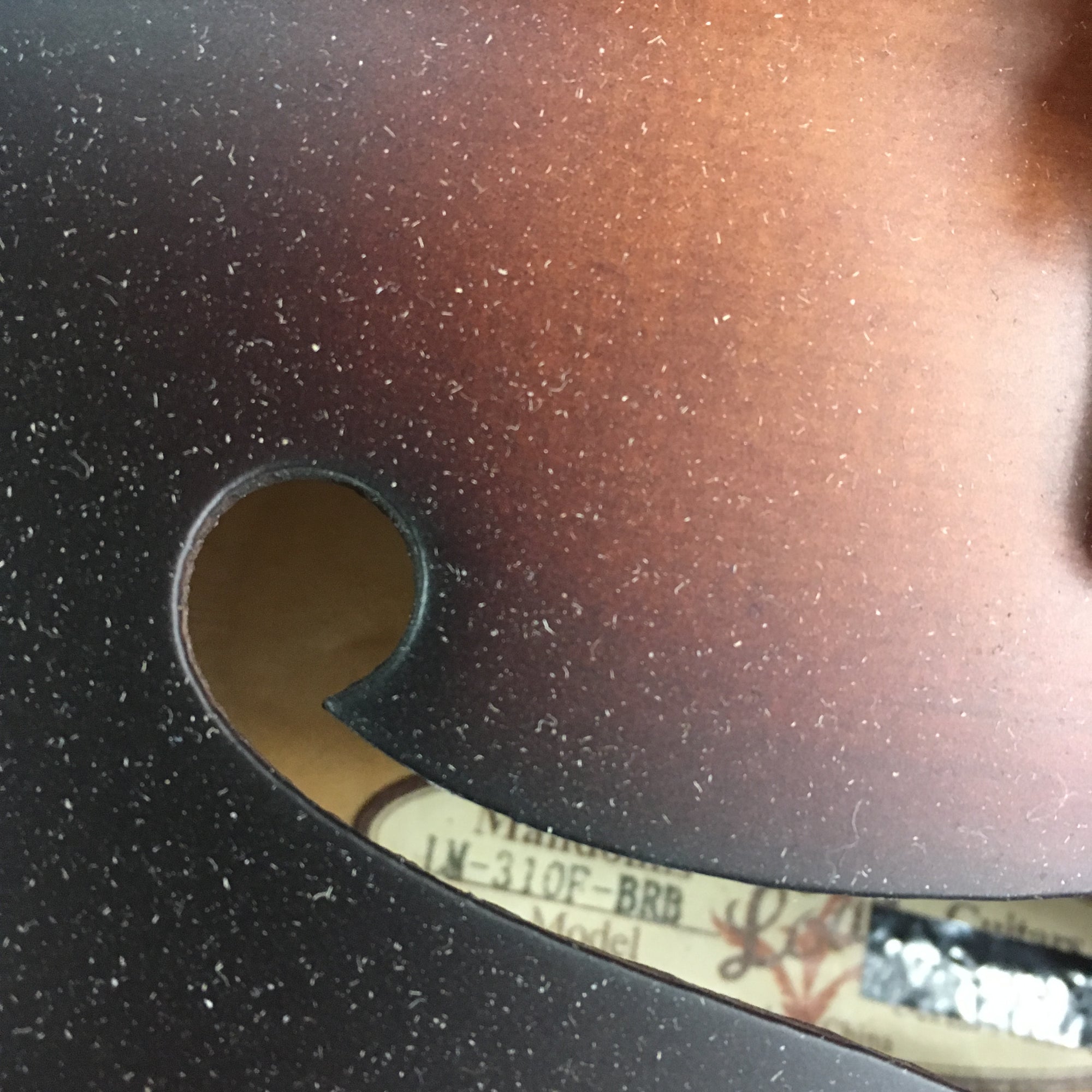 Loar LM310F F Style Mandolin