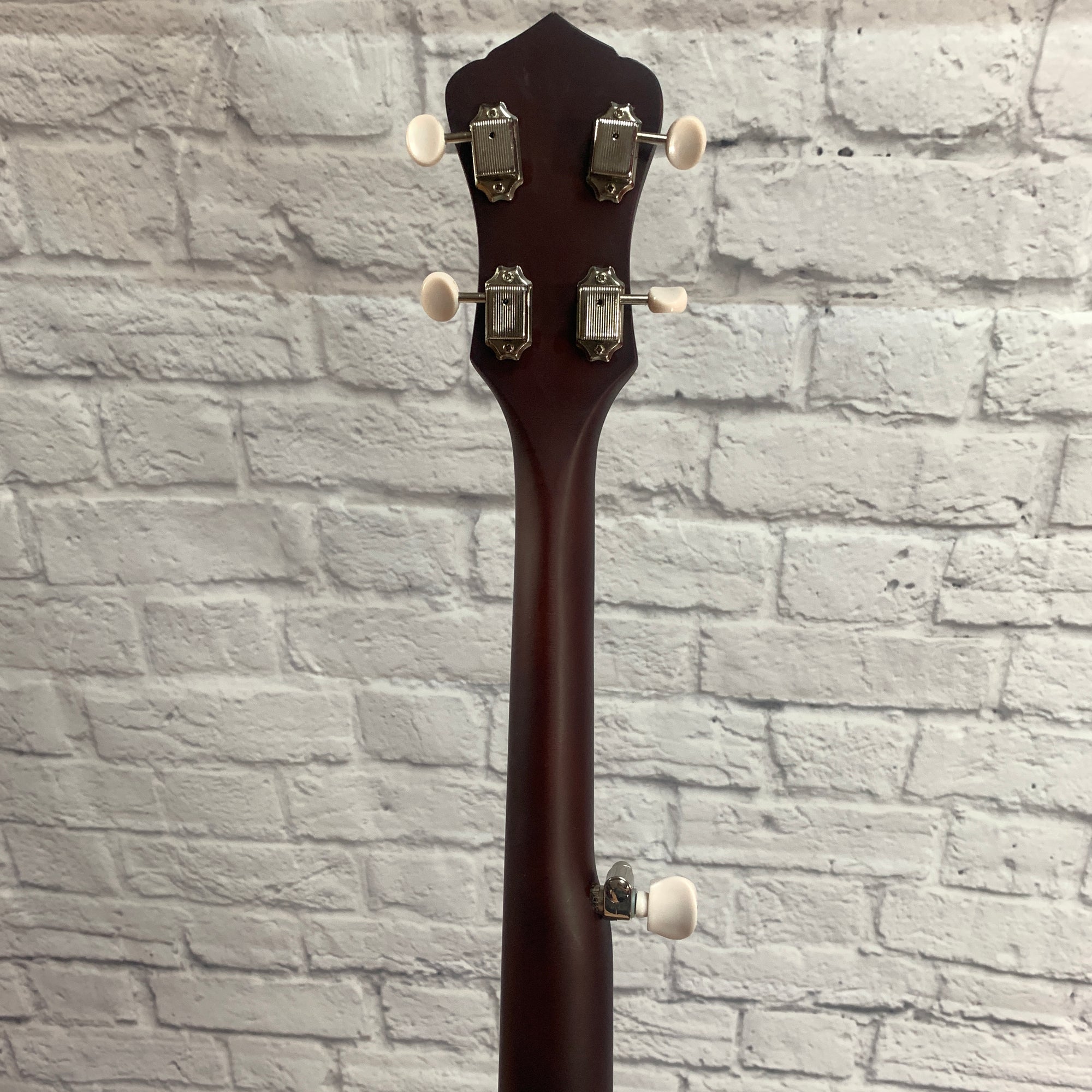 Recording King Rkoh6 Five String Banjo