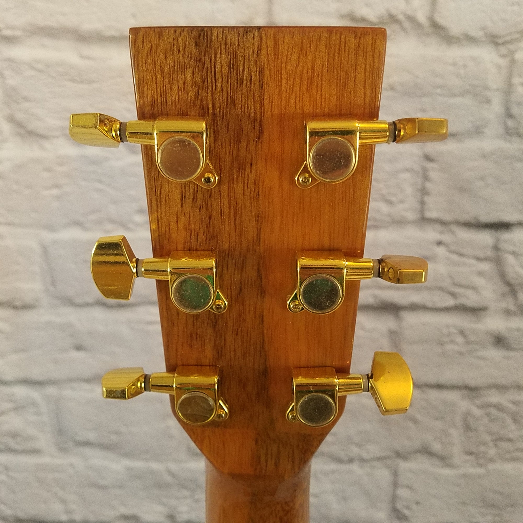 Ventura VWD5 NAT Acoustic Guitar