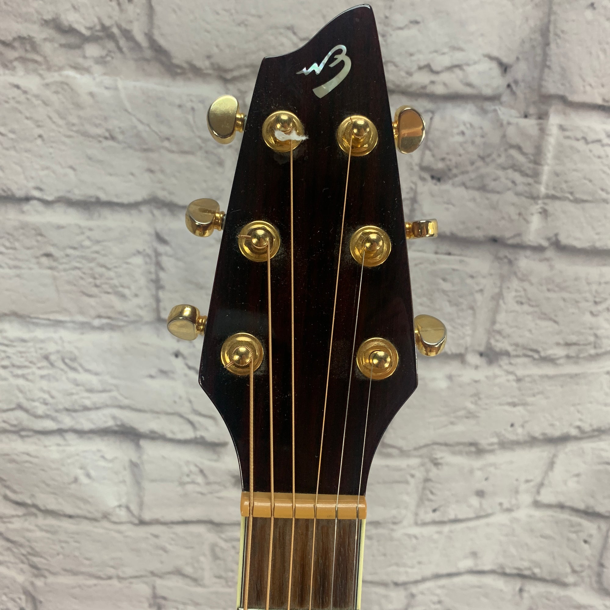 Breedlove AC250/SF Plus w/ Original Case