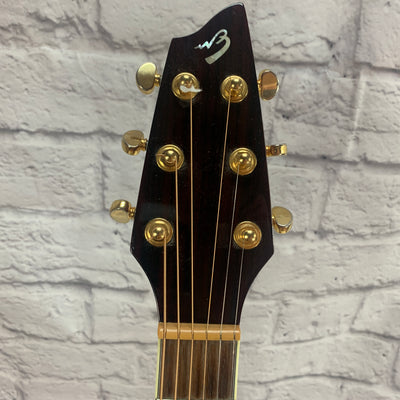 Breedlove AC250/SF Plus w/ Original Case