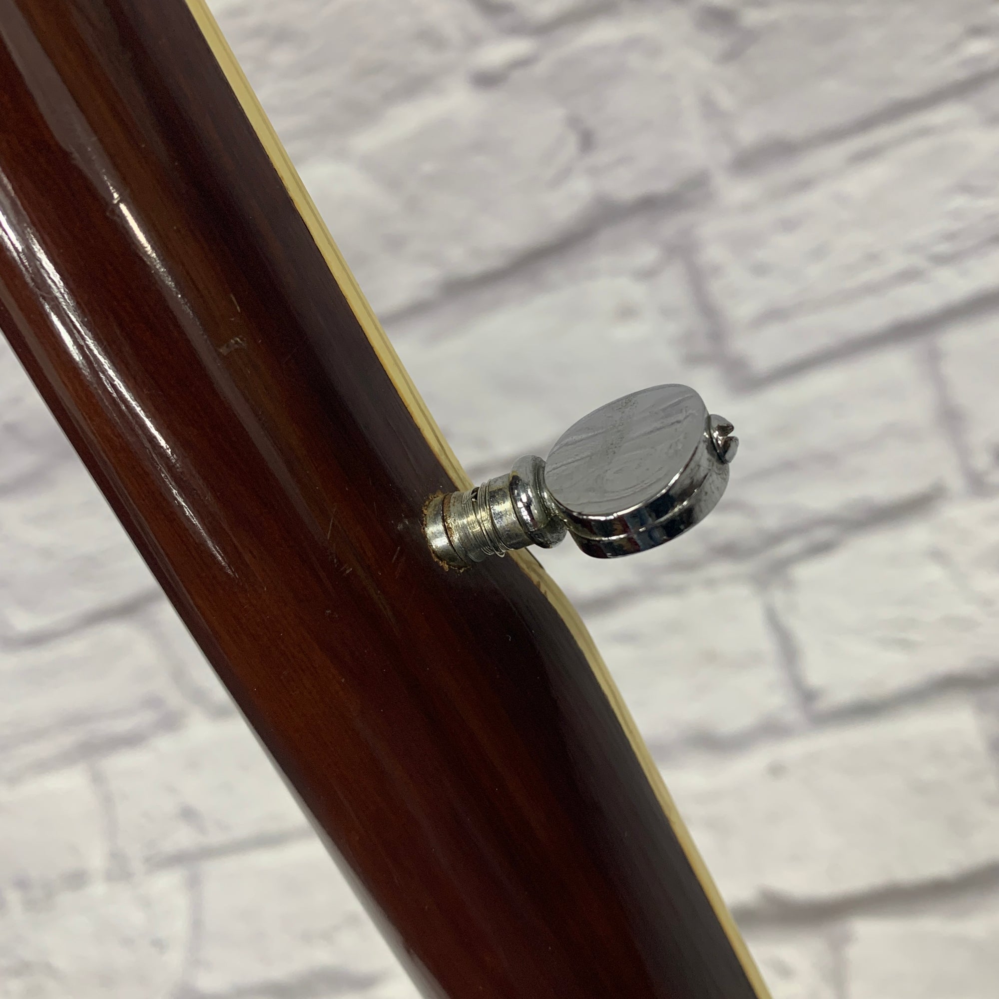 Vintage Alex 5-String Banjo