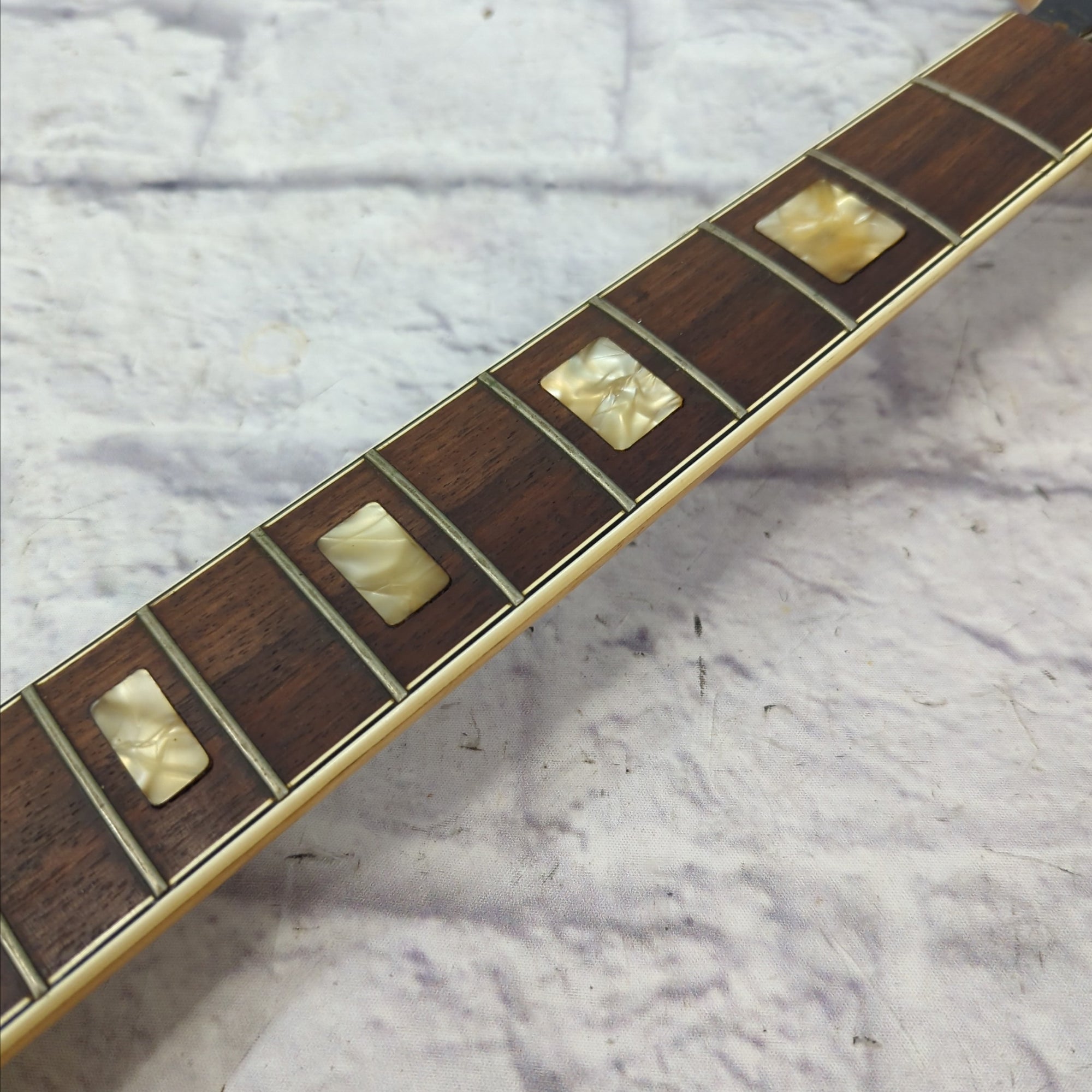 Epiphone Japan Semi Hollow Neck Body Project