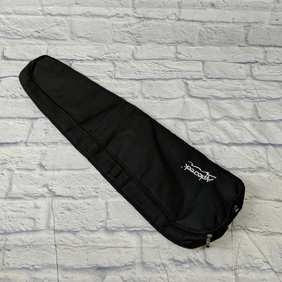 Applecreek travel guitar gig bag Acoustic