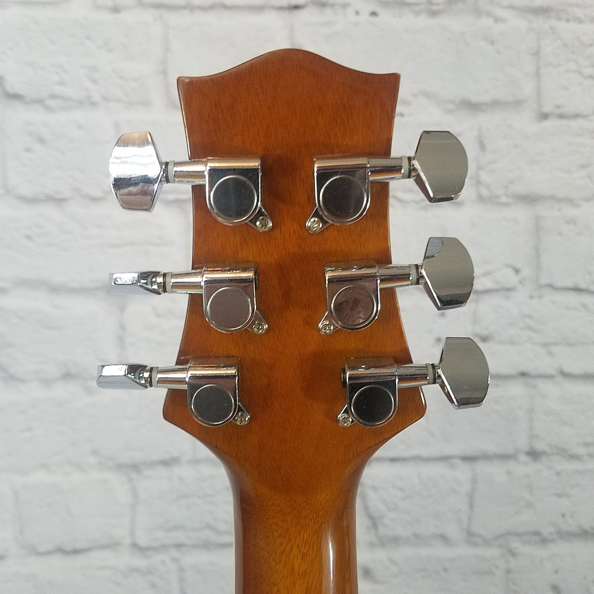 Silvertone Pro Series CA114743