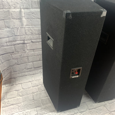 MTX TP2400 2x12 Passive PA Tower Speaker Pair