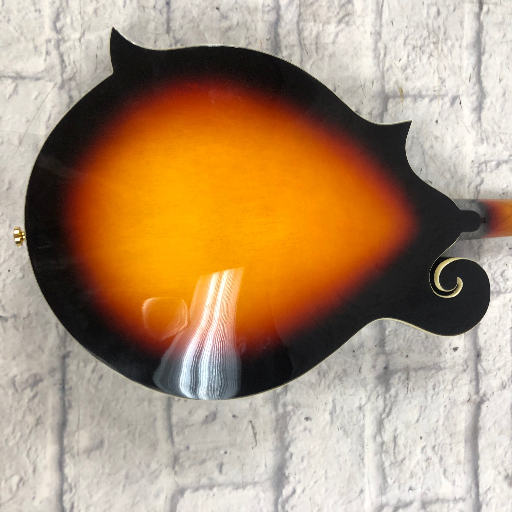 GMIS111○domani / ドマーニ Morganton モーガントン サ The-1921-Morgan-Silver-Dollar-