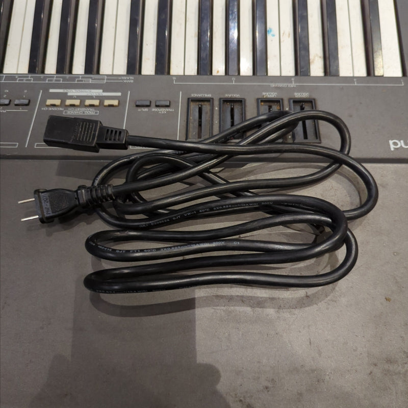 Roland RD-300 Digital Piano - Evolution Music