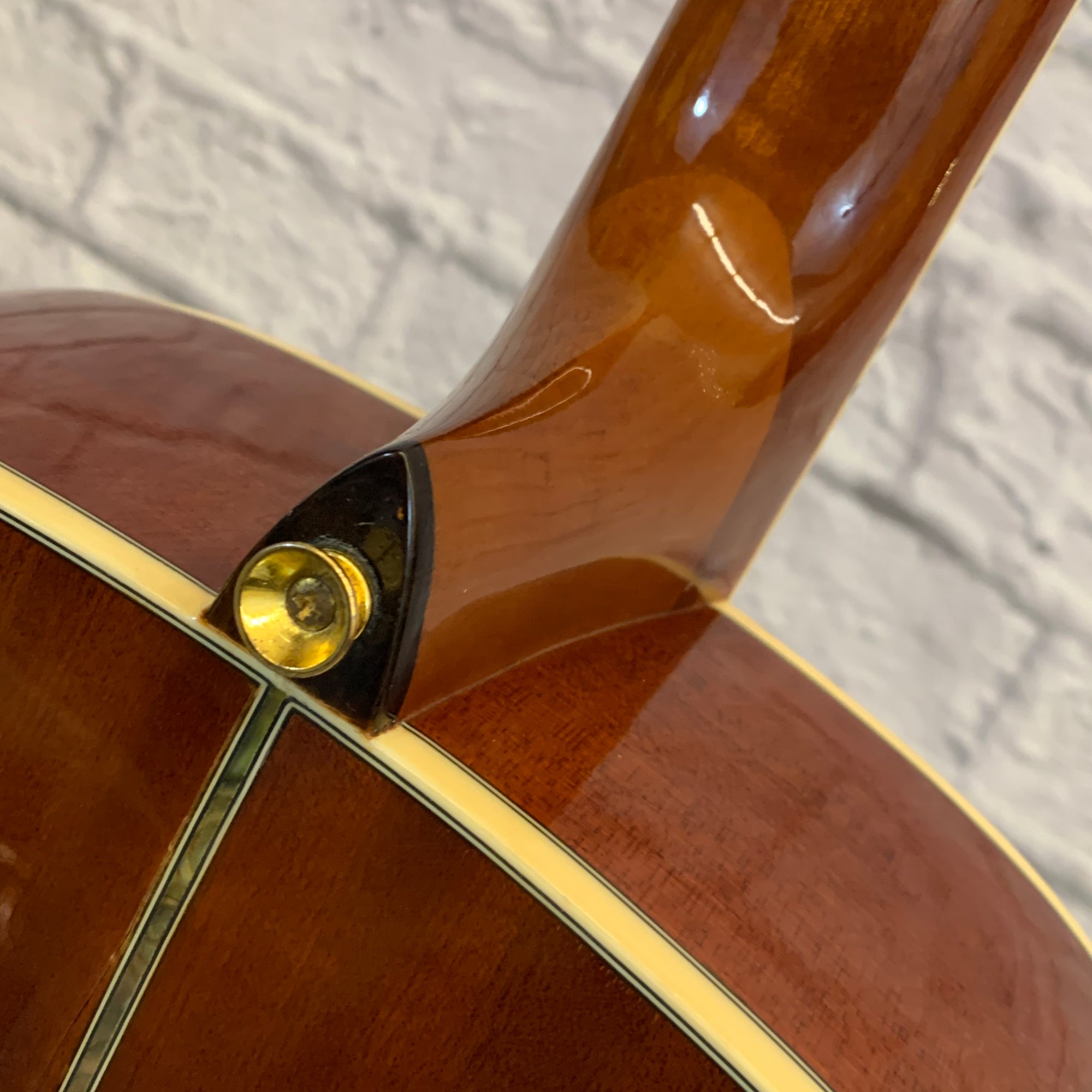 Ventura V6NAT Acoustic Guitar Natural