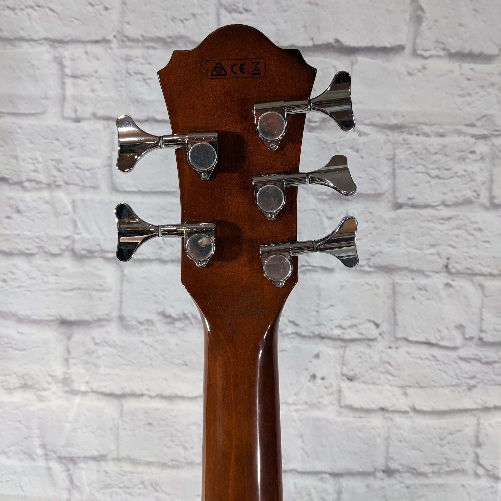 Ibanez AEB105ENT 5 String Acoustic Bass Guitar