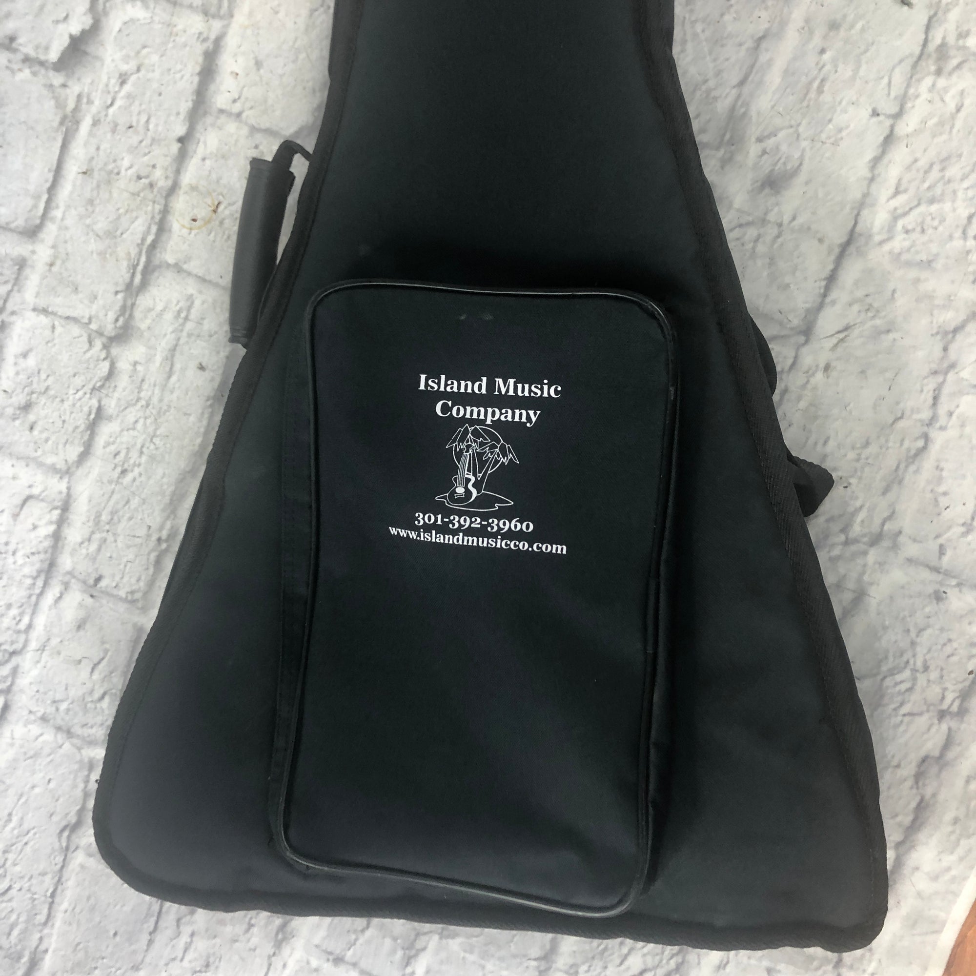 Unknown Flying V Gig Bag