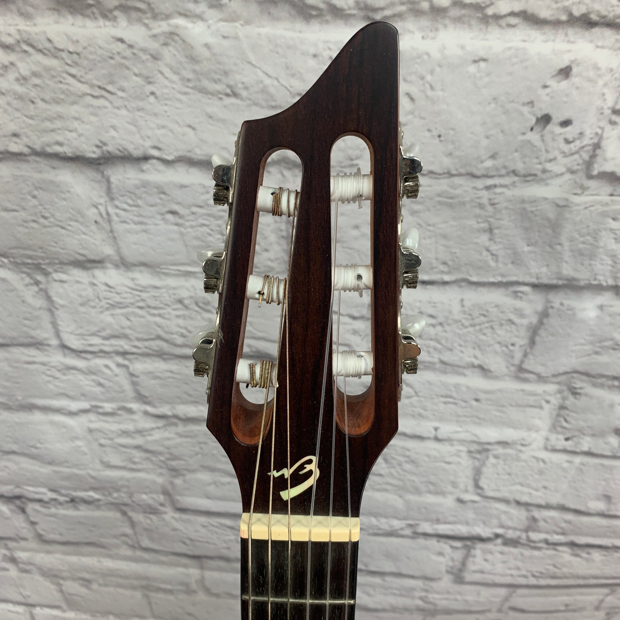 Breedlove Passport N250/Coe Acoustic