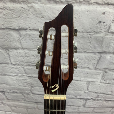 Breedlove Passport N250/Coe Acoustic