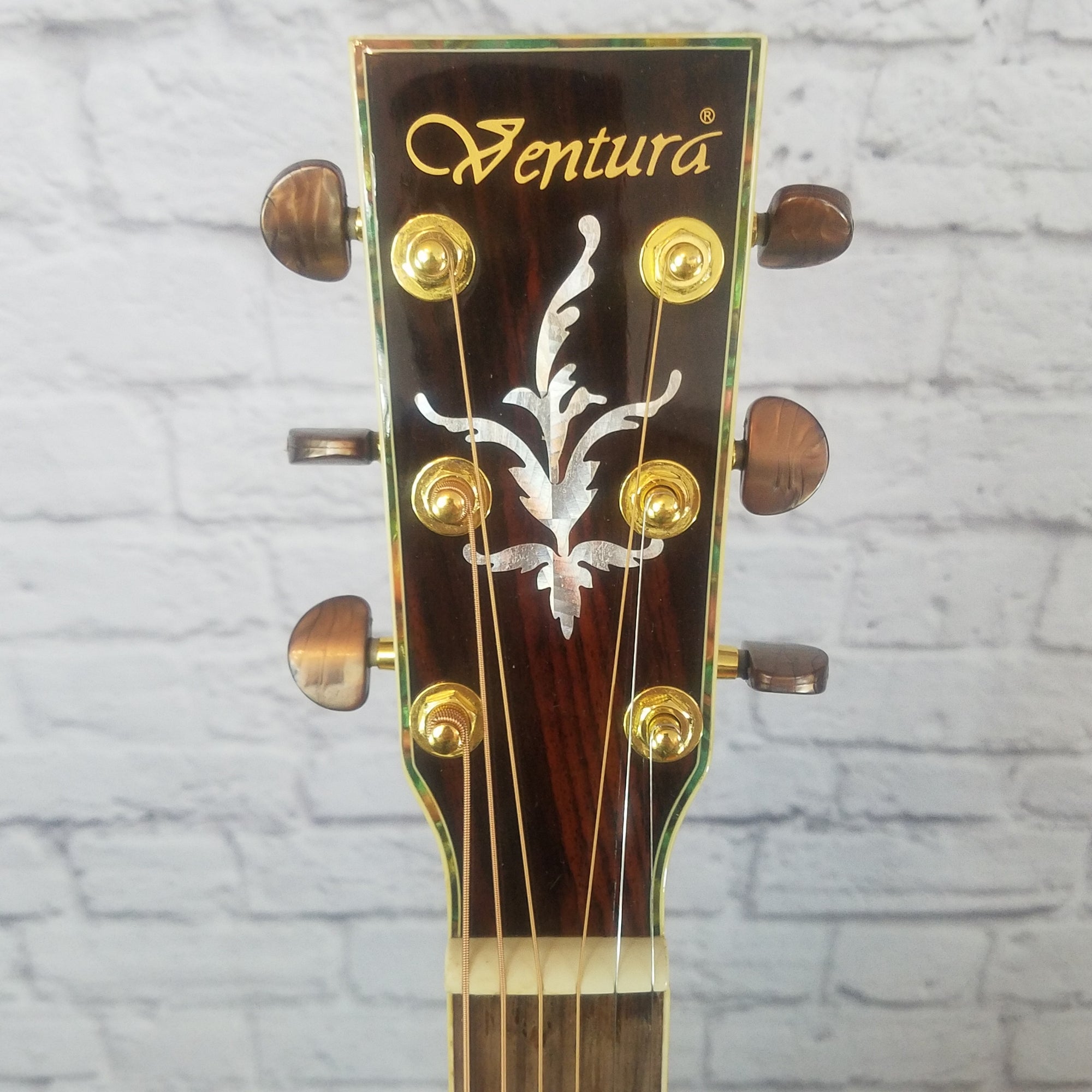 Ventura V5NAT Dreadnought Acoustic