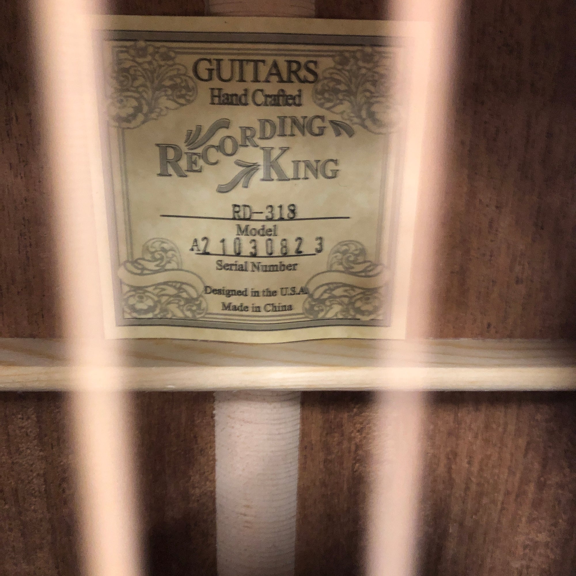 Recording King RD-318 Deluxe Dreadnaught with Padded Bag