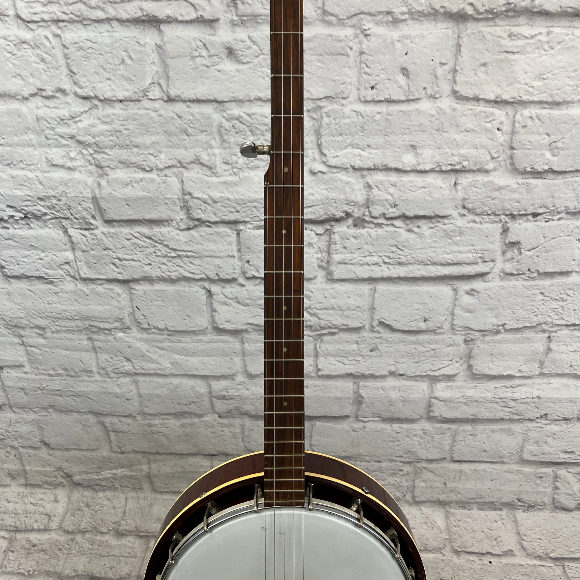 Telestar 5 String Tenor Banjo Project with Case Evolution Music