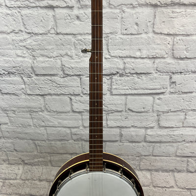 Telestar 5 String Tenor  Banjo Project with Case
