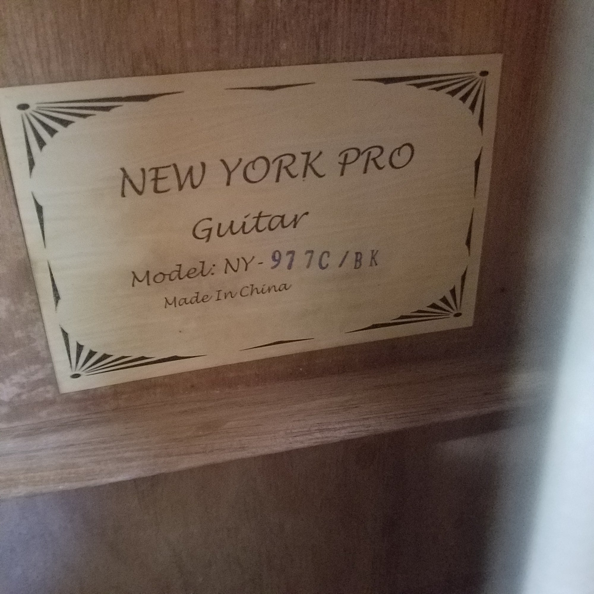 New York Pro NY 977C/BK Acoustic Guitar