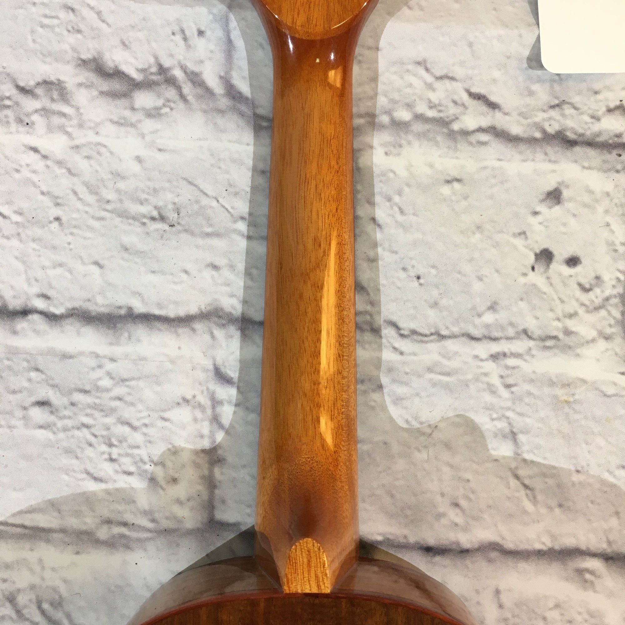 Kala KA-ACP-CTG Ukulele