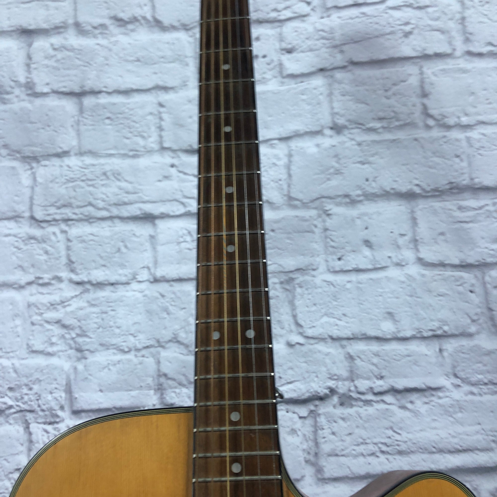 Ibanez PF5CE Dreadnaught Cutaway Acoustic Electric Guitar