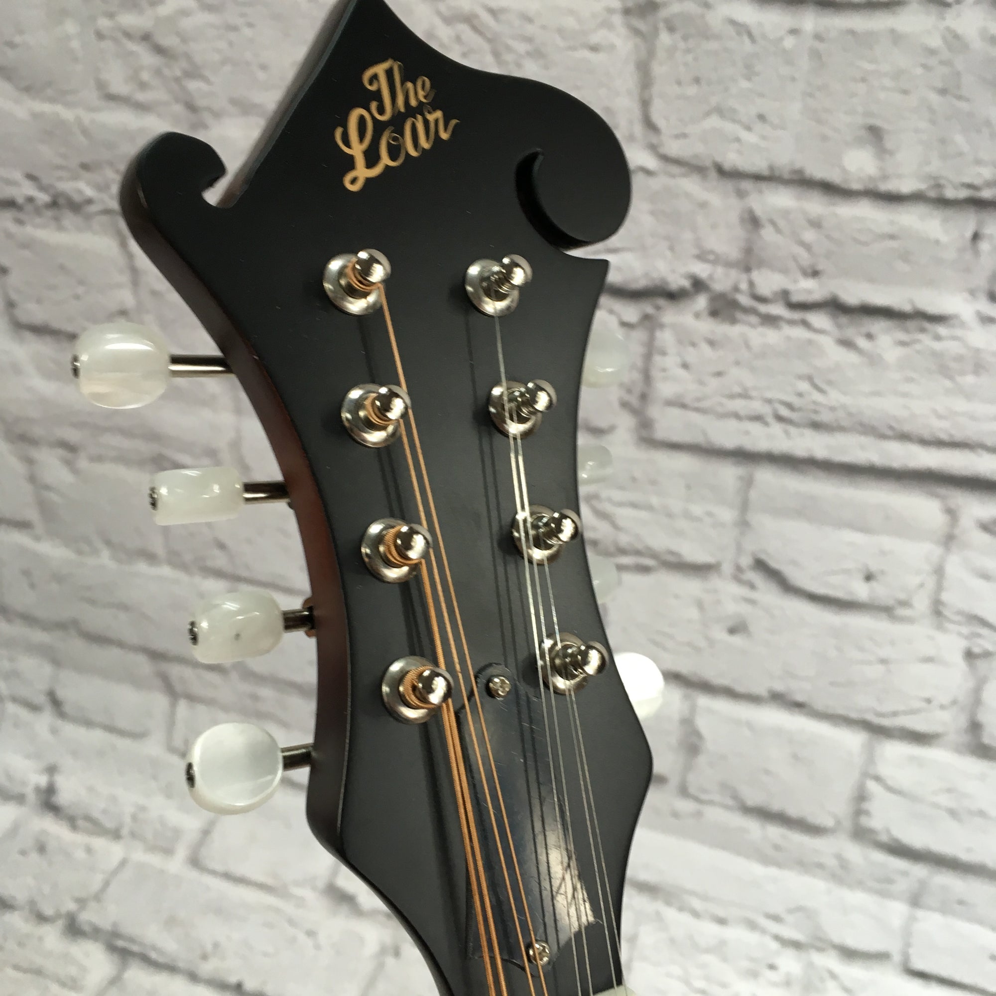 Loar LM-310 F Style Mandolin