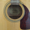 Fender 200 SX Acoustic Guitar