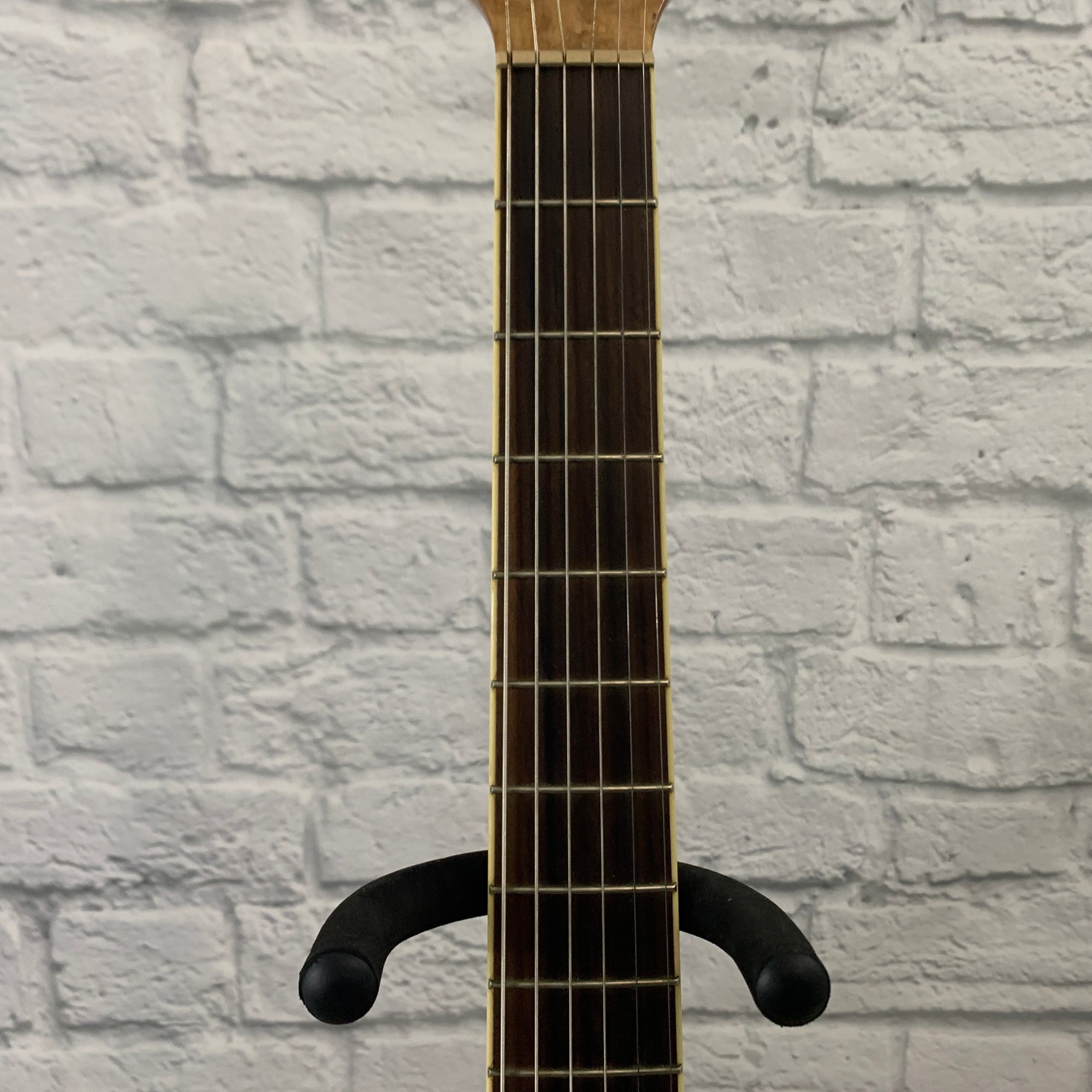 Ibanez Ew20ase Exotic Wood Figured Ash Acoustic Guitar Evolution Music 