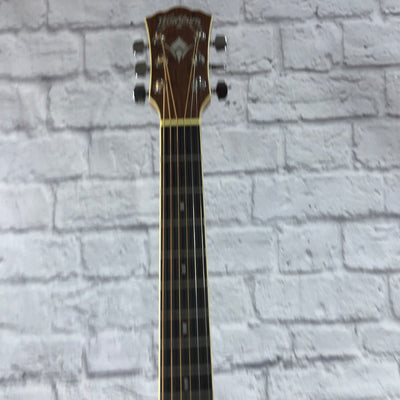 Washburn WD10 Acoustic Guitar