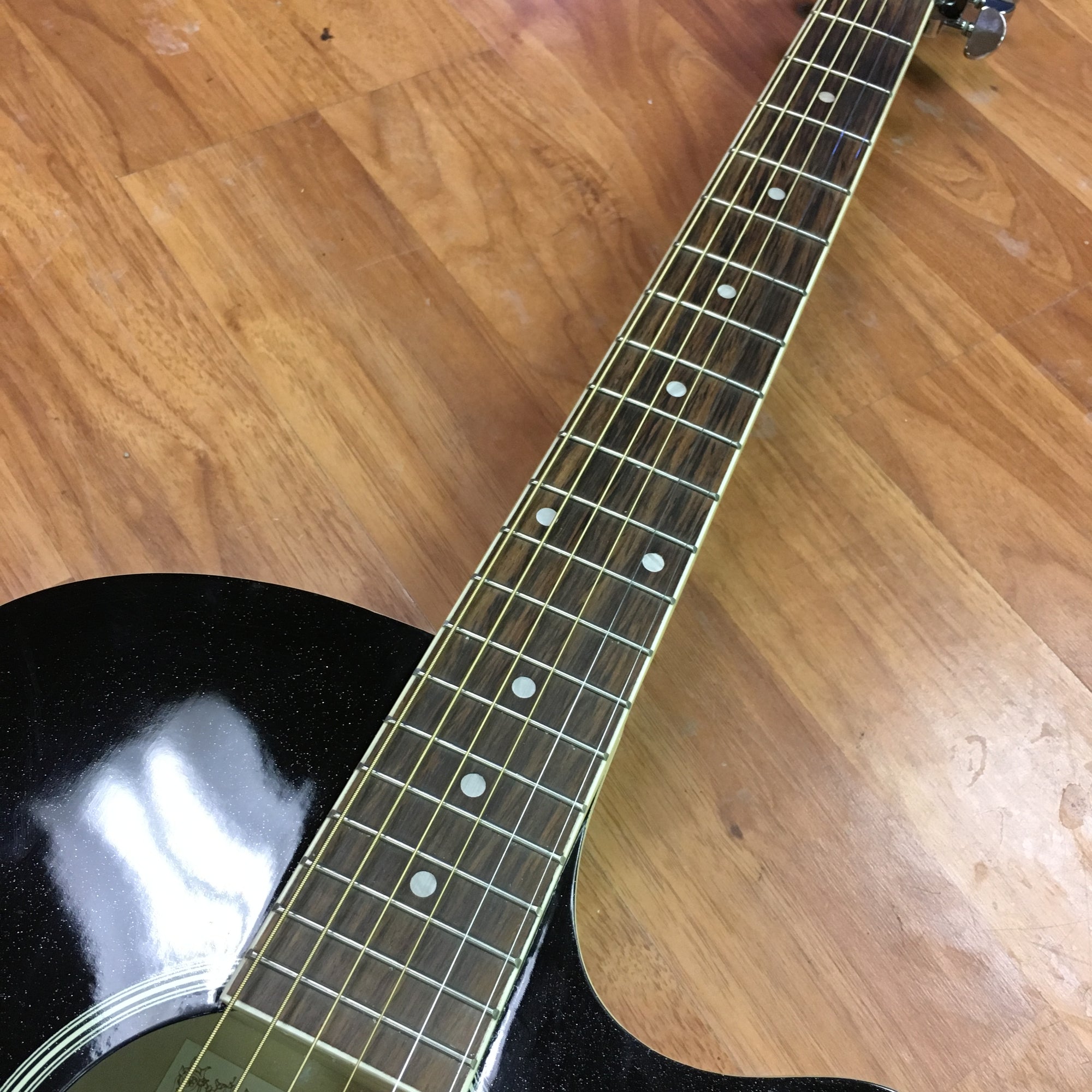 Ibanez AEG5E Thinline Acoustic Electric