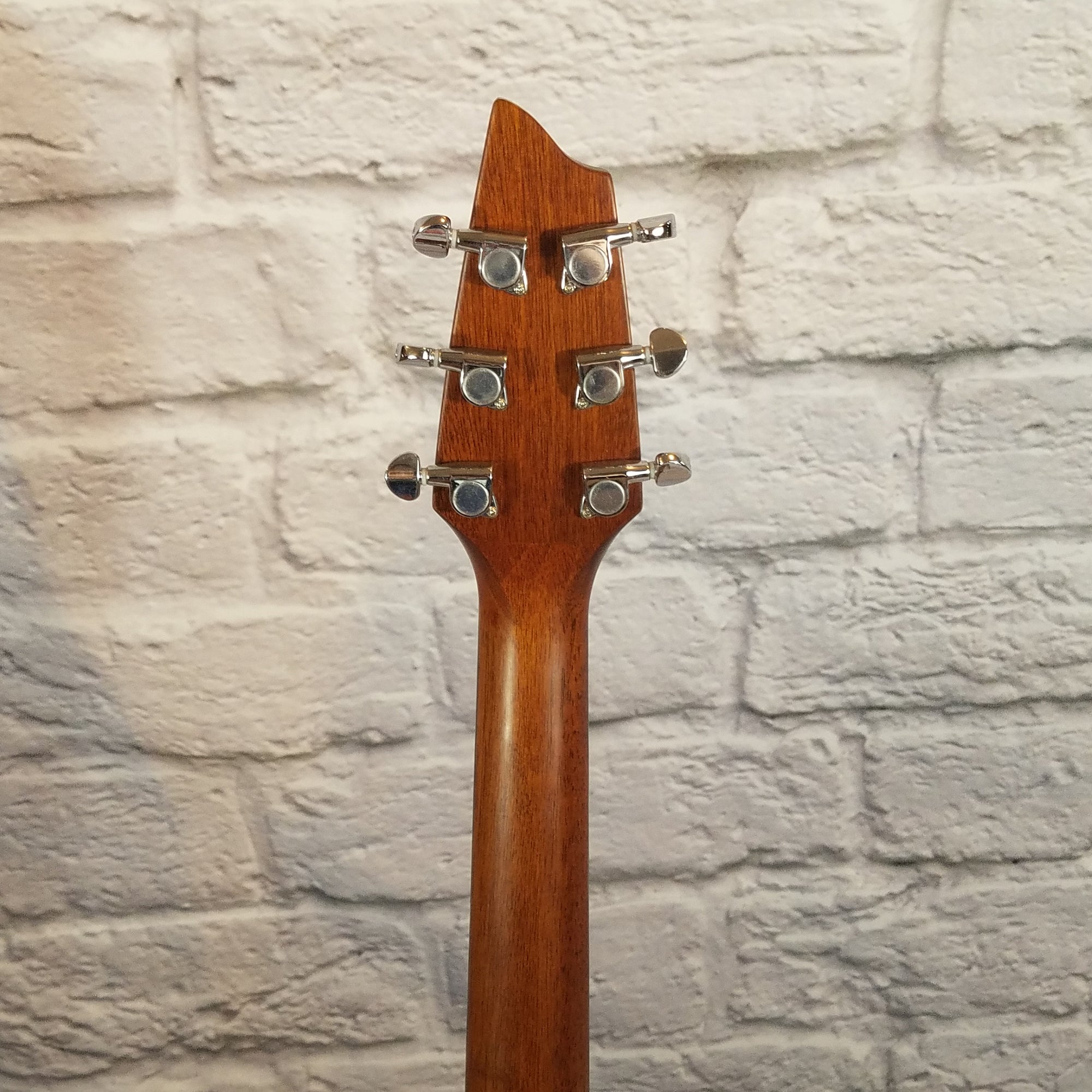 Breedlove Passport C250/CMe Acoustic Guitar with Case - New Old Stock!