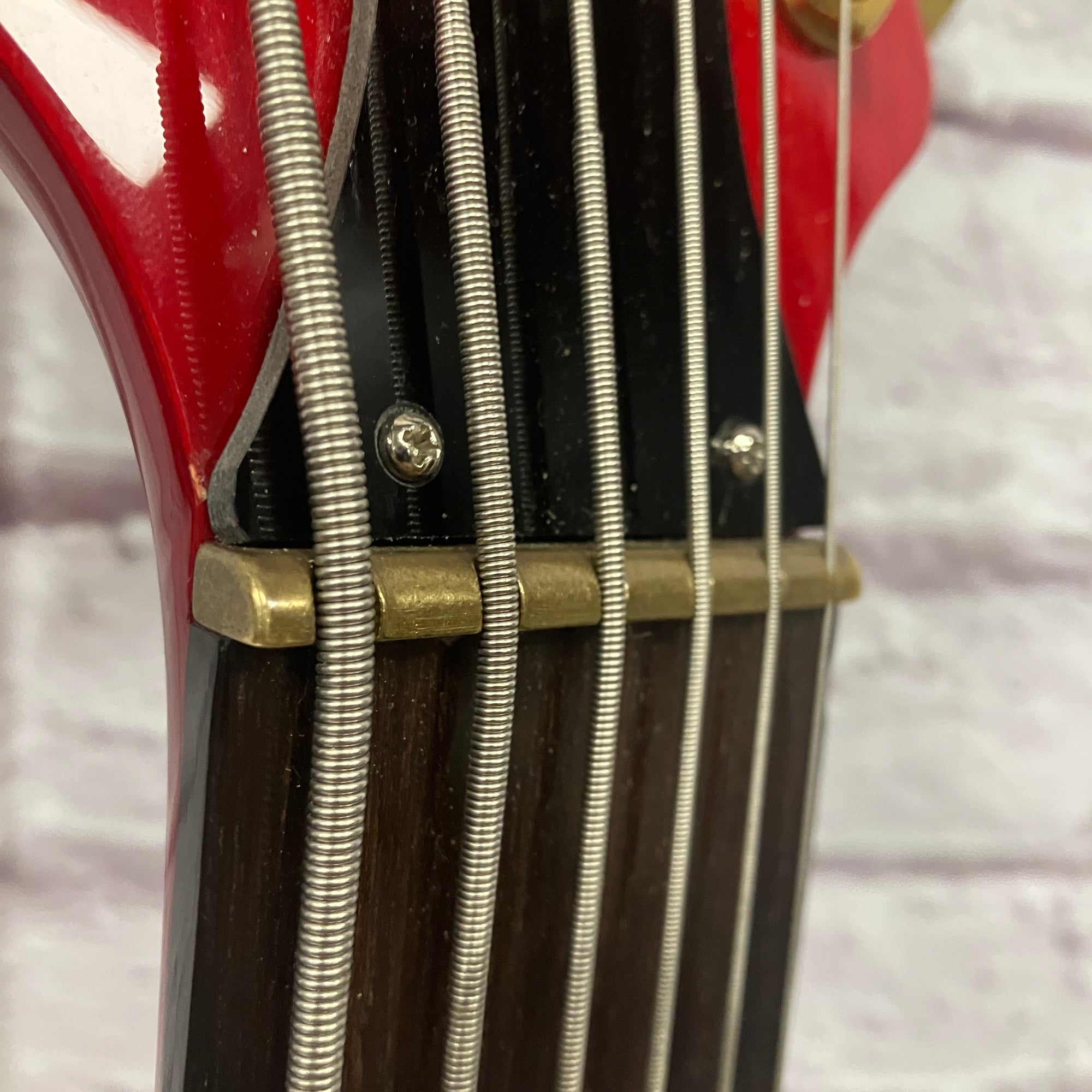 Tune TWB63 6 String Bass AS-IS