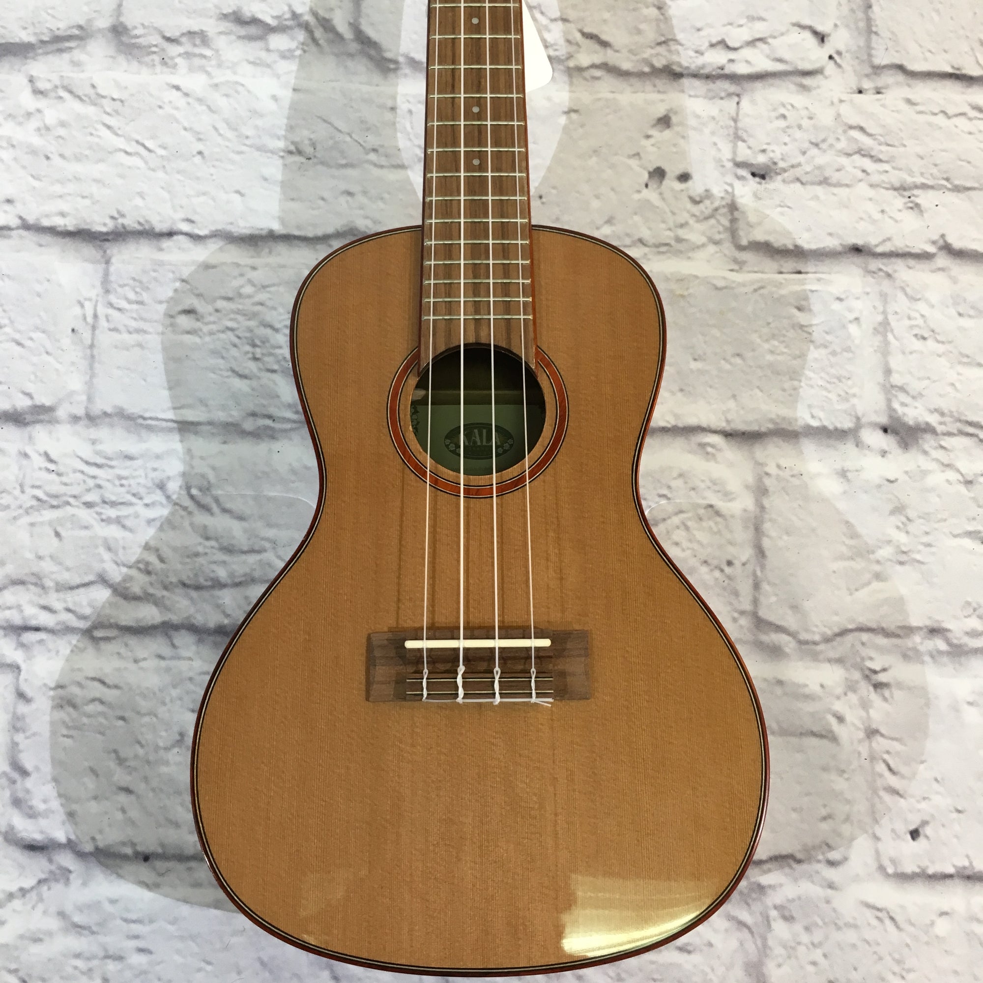 Kala KA-ACP-CTG Ukulele