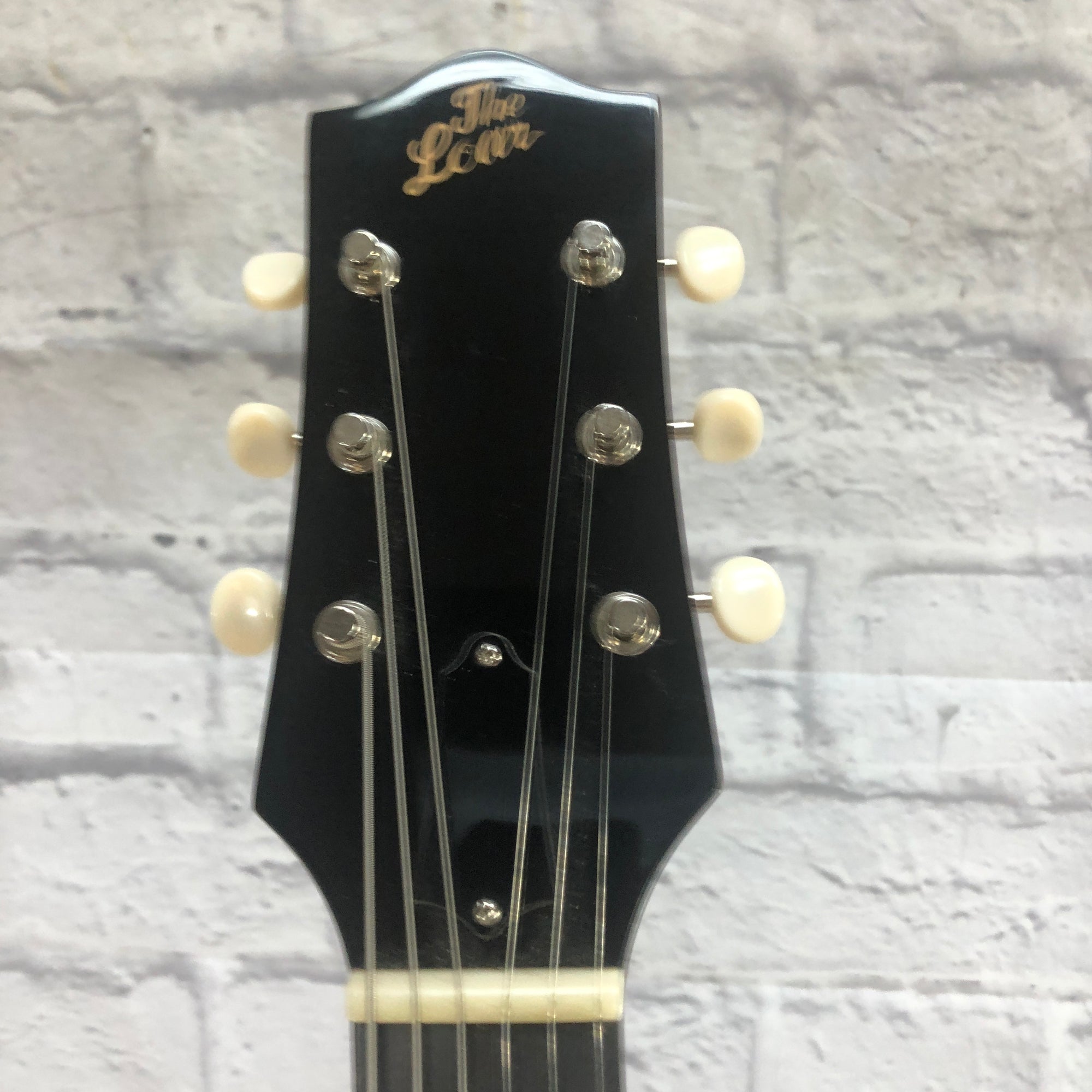 Loar LH301T Hollow Body Electric Guitar