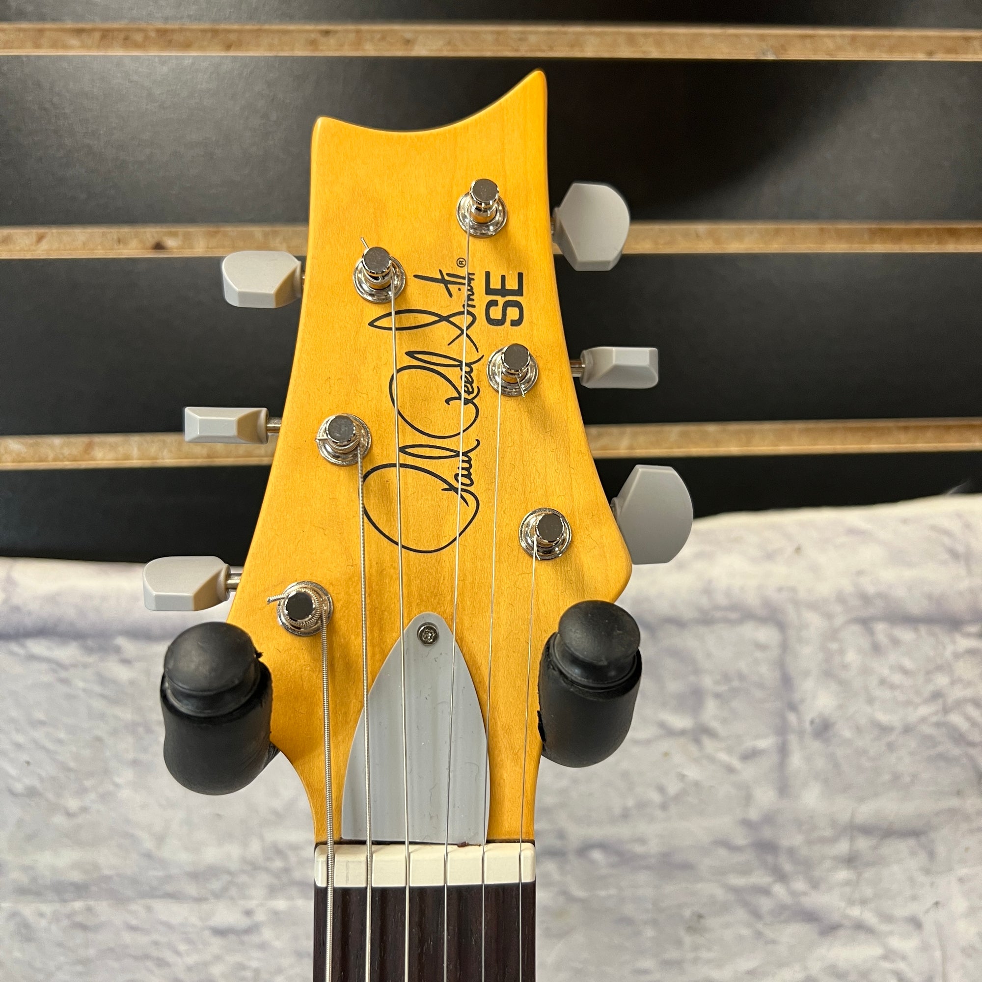 PRS Paul Reed Smith SE Silver Sky Ever Green