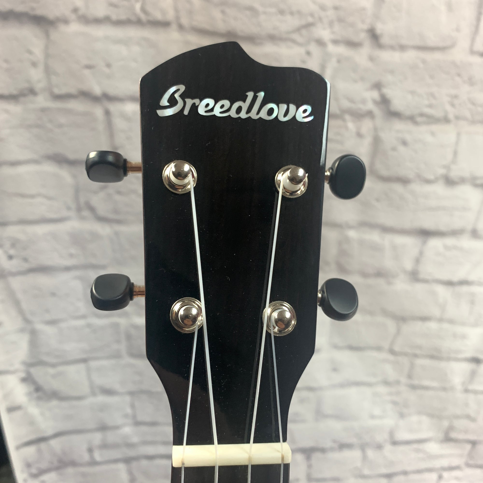 Breedlove Ex Cu Ce Bo Concert Acoustic Electric Ukulele