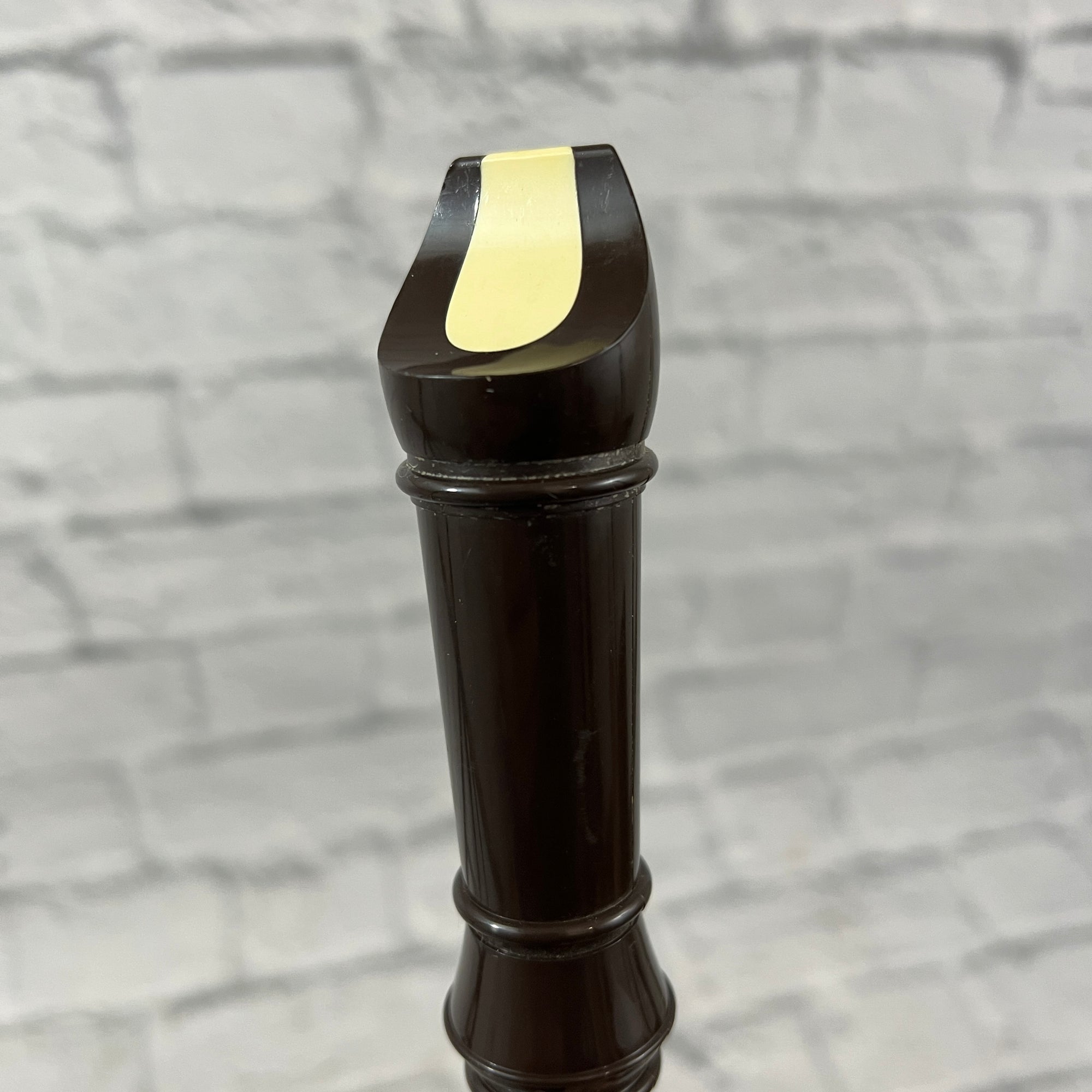 Suzuki Recorder w/ soft case